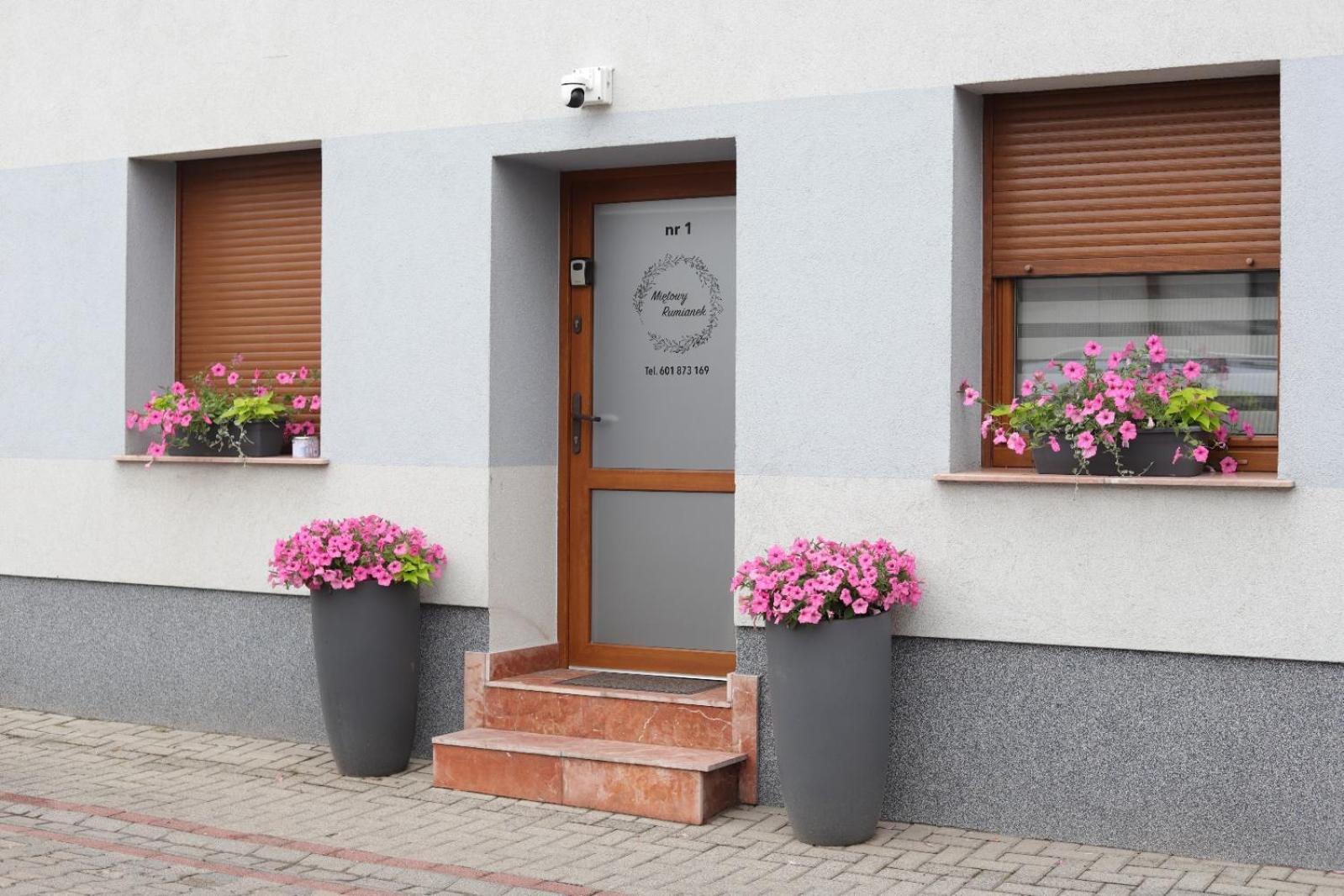 Apartament Mietowy Rumianek Lwowek Esterno foto